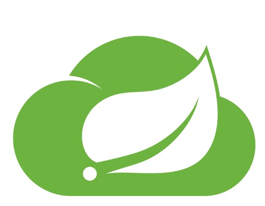 Project Spring Cloud Microservices